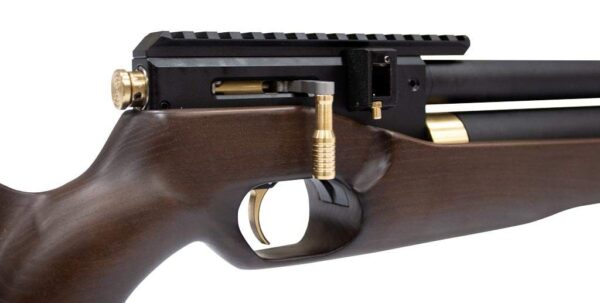 PCP Air Rifle ZBROIA Hortitsia 450/230