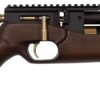 PCP Air Rifle ZBROIA Hortitsia 450/230