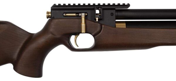 PCP Air Rifle ZBROIA Hortitsia 450/230