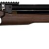 PCP Air Rifle ZBROIA Hortitsia 450/230