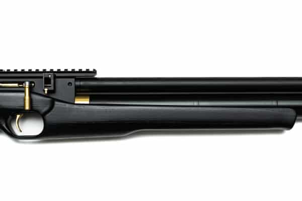 PCP Air Rifle ZBROIA Hortitsia 550/230