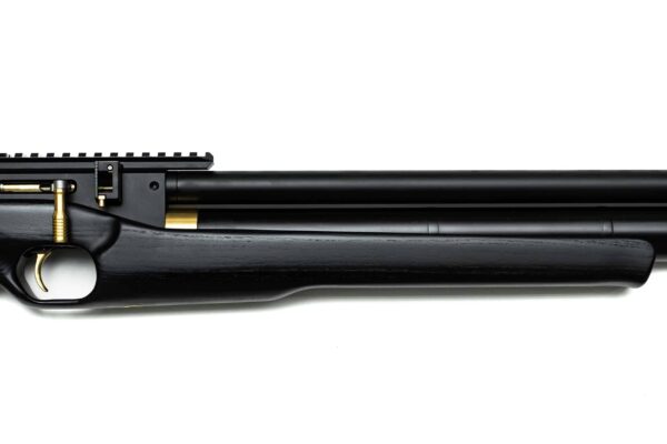 PCP Air Rifle ZBROIA Hortitsia 550/230