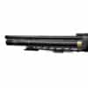 PCP Air Rifle ZBROIA Hortitsia TAC 330/200