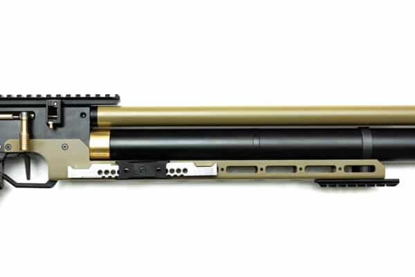 PCP Air Rifle ZBROIA Hortitsia TAC 450/230