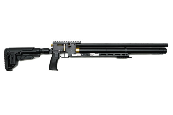 PCP Air Rifle ZBROIA Hortitsia TAC 550/230