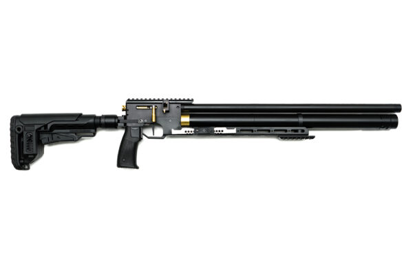 PCP Air Rifle ZBROIA Hortitsia TAC 550/230