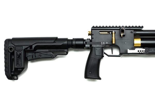 PCP Air Rifle ZBROIA Hortitsia TAC 550/230