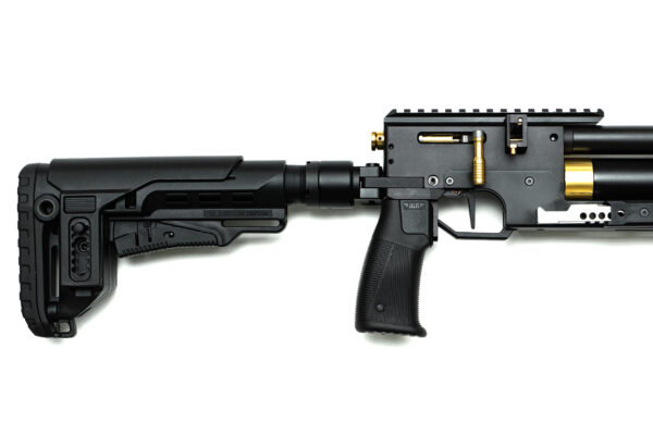 PCP Air Rifle ZBROIA Hortitsia TAC 550/230
