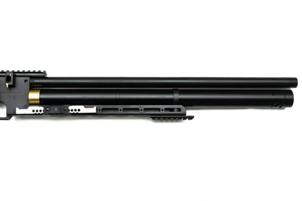 PCP Air Rifle ZBROIA Hortitsia TAC 550/230