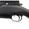 PCP Air Rifle ZBROIA Hortitsia 330/200