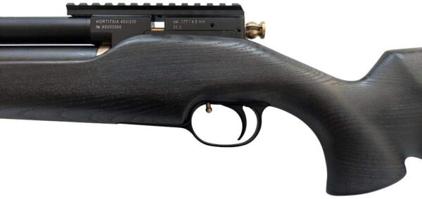 PCP Air Rifle ZBROIA Hortitsia 330/200
