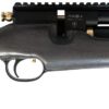 PCP Air Rifle ZBROIA Hortitsia 330/200