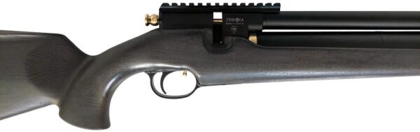 PCP Air Rifle ZBROIA Hortitsia 330/200