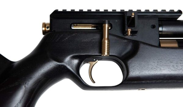 PCP Air Rifle ZBROIA Hortitsia 330/200