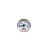 Pressure gauge for ZBROIA PCP air rifle